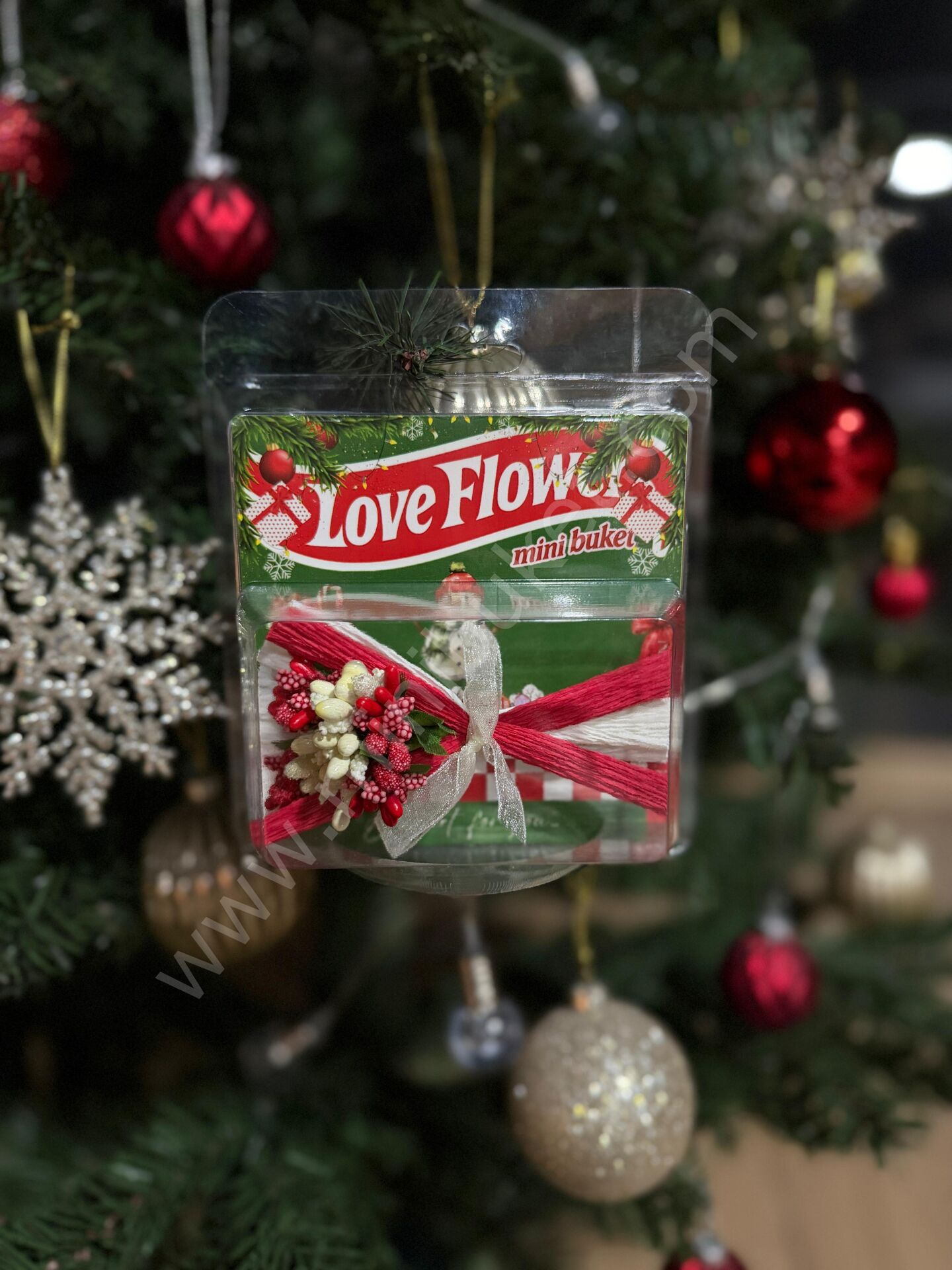 Yılbaşı Temalı Love Flowers, Kokina